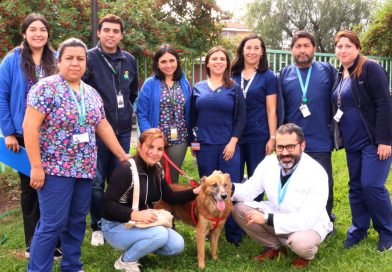 Primera visita de mascota a paciente de nuestro hospital